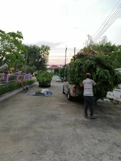 ผลงานบิ๊กรับตัดต้นไม้ ภาพที่ 76