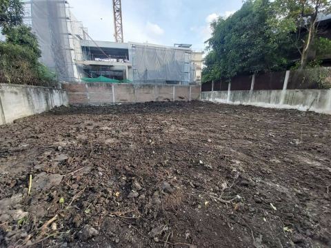 ผลงานบิ๊กรับตัดต้นไม้ ภาพที่ 95